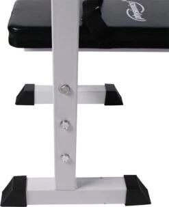 Physionics - Halterbank - Dips Bank - Bankdruk - Buiktrainer - Rugtrainer - Gewicht Heffen - Antislip - Verstelbaar -Fitnessapparatuur Serie Winkel 979x1200 2